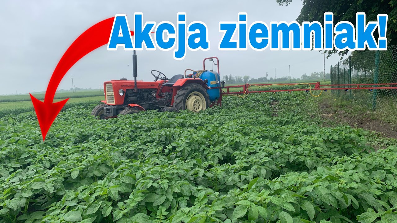 #349- Opryski w ziemniakach na zarazę! Ciapek z Biardzkim w akcji! Jak wygląda pyrka ?