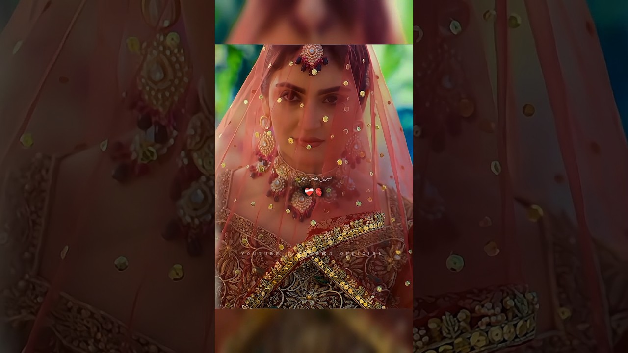#HUMRAHI | Tera kasoor | #hibabukhari #danishtamoor #cheemaofficial