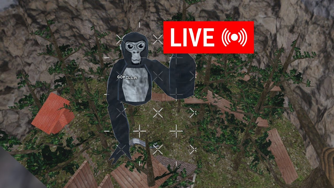 gtag live random