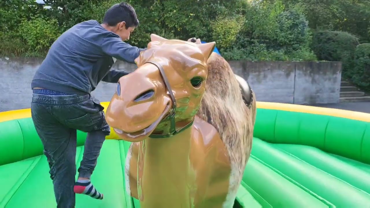 Kamel Rodeo