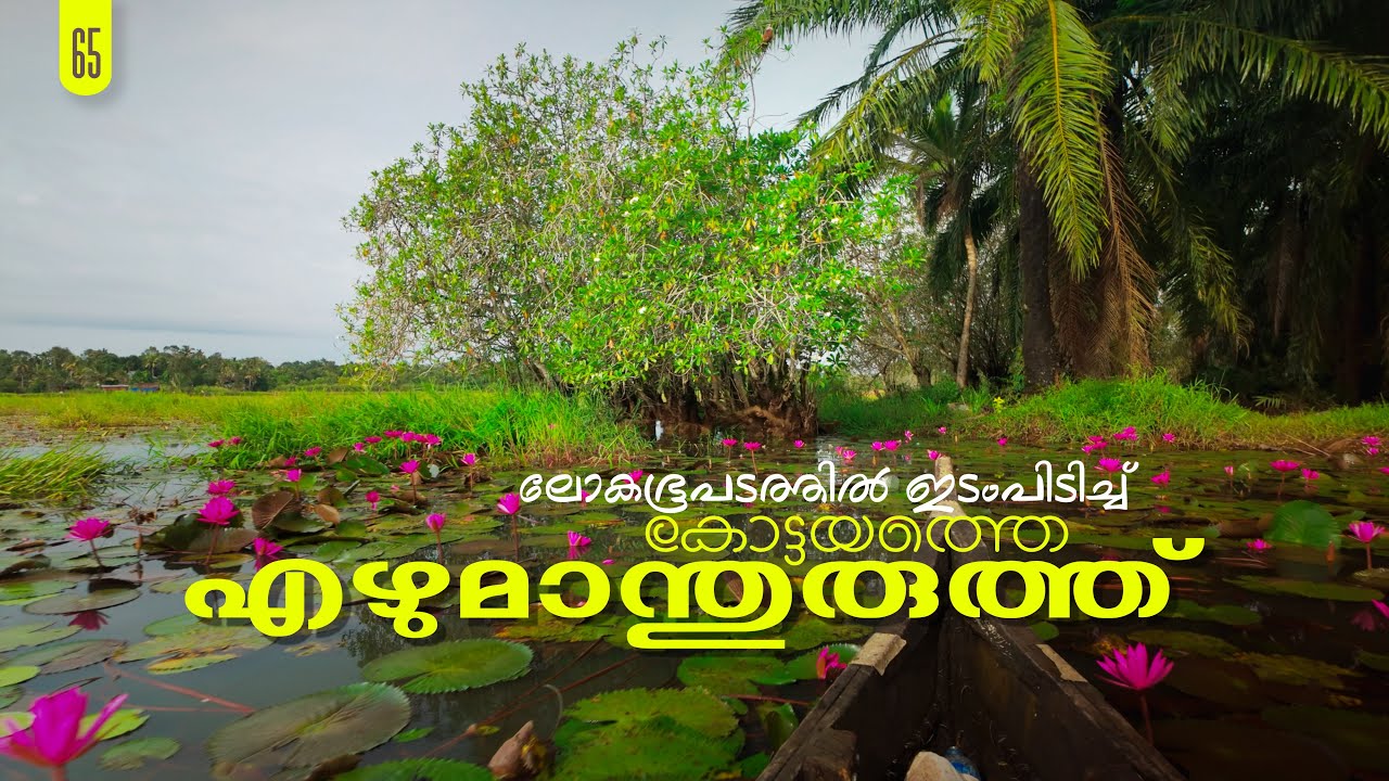 കേരള backwater ടൂറിസത്തിൽ കടുത്തുരുത്തിയുടെ  എഴുമാന്തുരുത്ത്‌  | Ezhumamthuruthu  | Kaduthuruthy