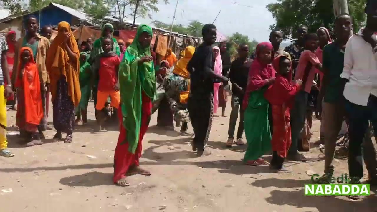 Qalaafe, Magaalada ugu Geedaha Badan Degaanka Soomaalida
