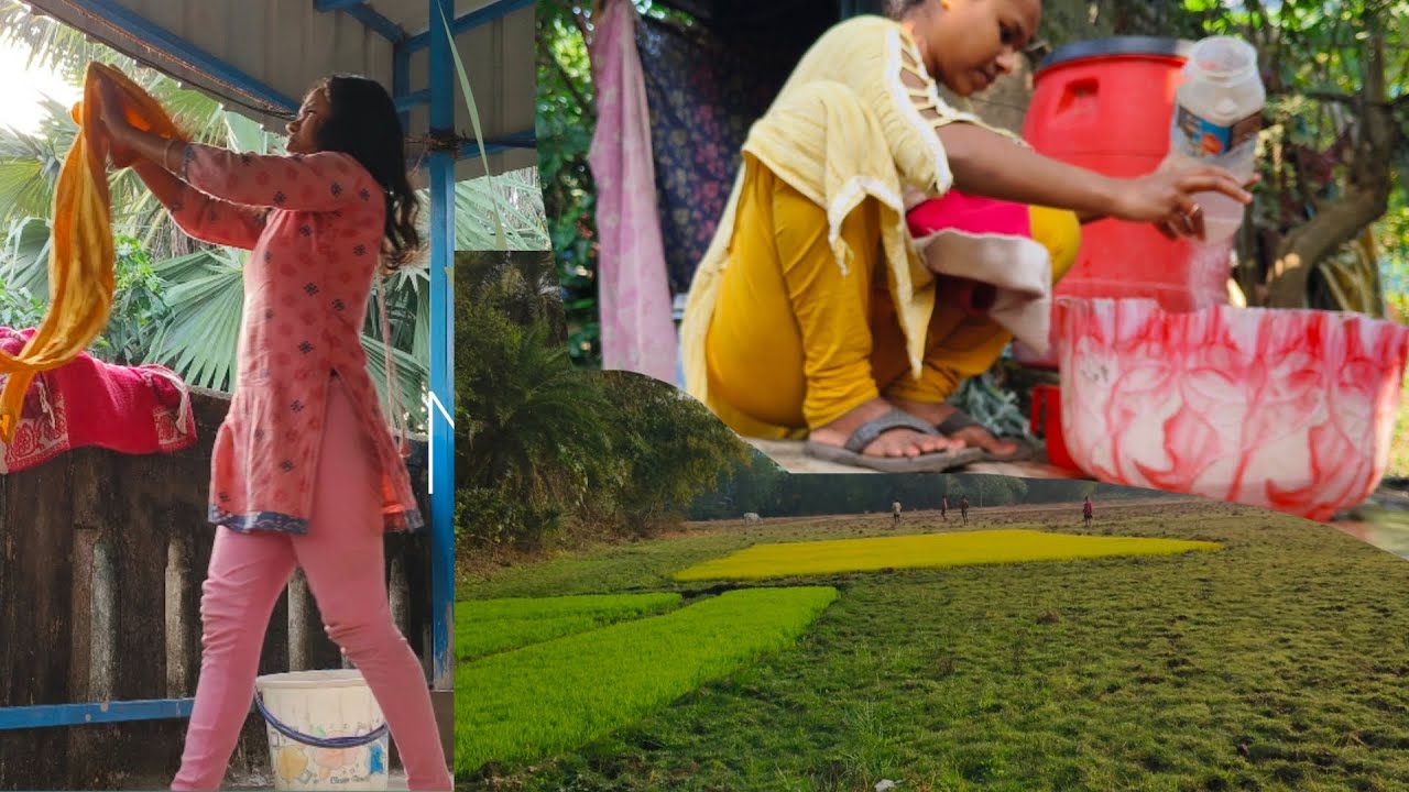 অনেক দিন পর মাঠে গেলাম কেনো, দুপুর বিকালে জামা কাপড় মেললাম।।#vlog #video@SusmitaAdaksLifestyle 