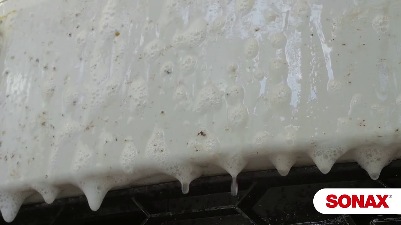 Как удалить насекомых. 05332000 SONAX InsektenEntferner