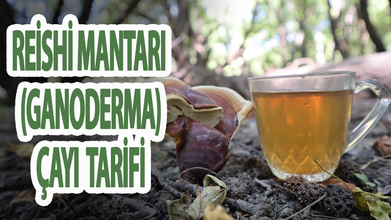 Reishi (Ganoderma) Mantarı Çayı Tarifi | Latmos Mutfak - Yemek Tarifleri