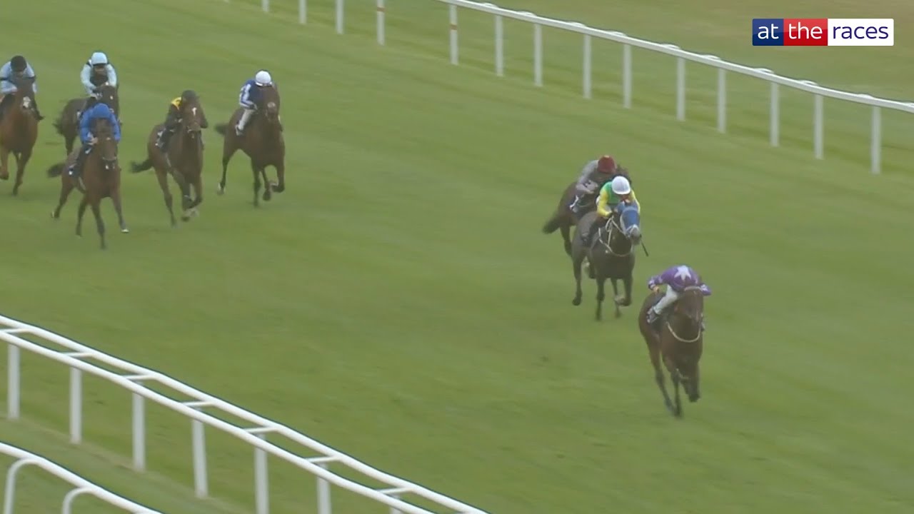 80/1 DEBUT WINNER! | Into The Sky routs them all at Newbury!