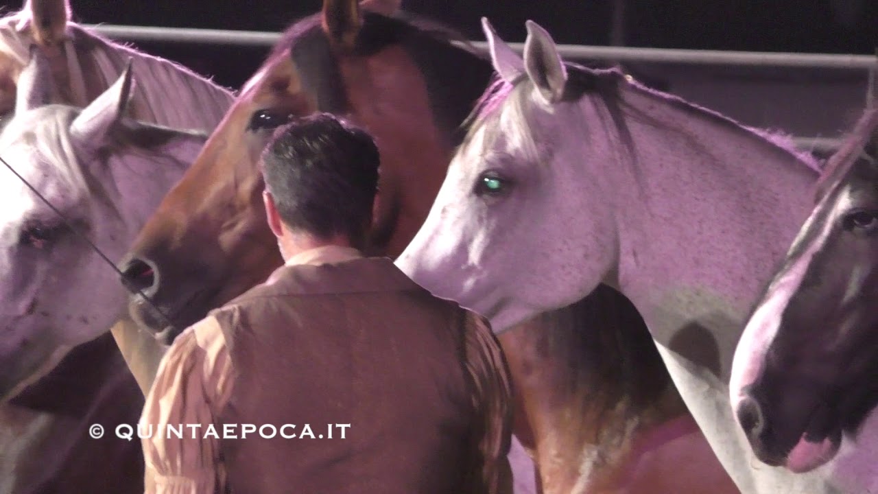 Bartolo  Messina a Nitriti nella Notte a Tuscania