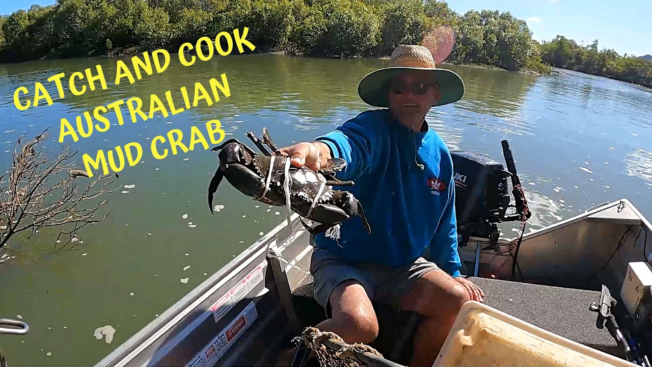 Catch and Cook Corio Bay - Mud Crabbing in Australia! Chuffed Special