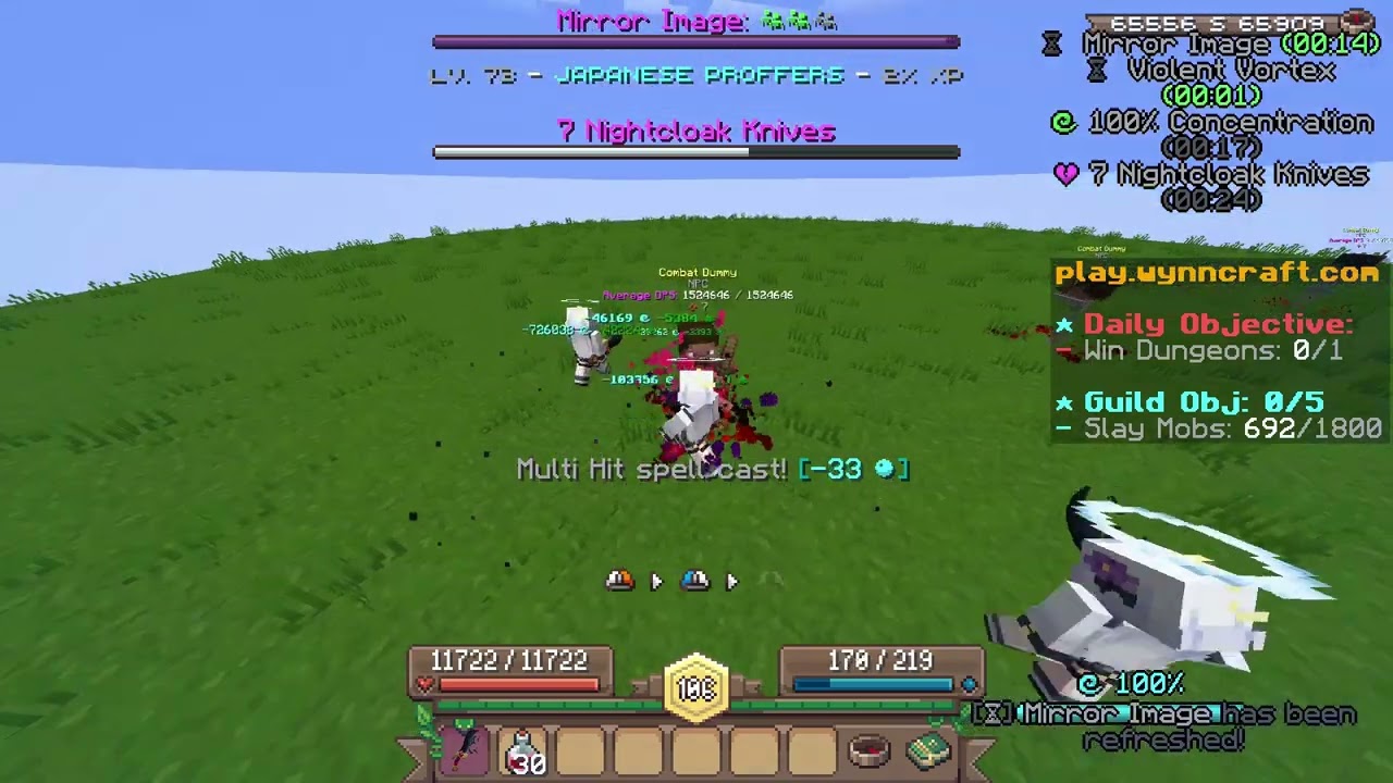 wynncraft ASN nirvana shadestepper DPS2.3M
