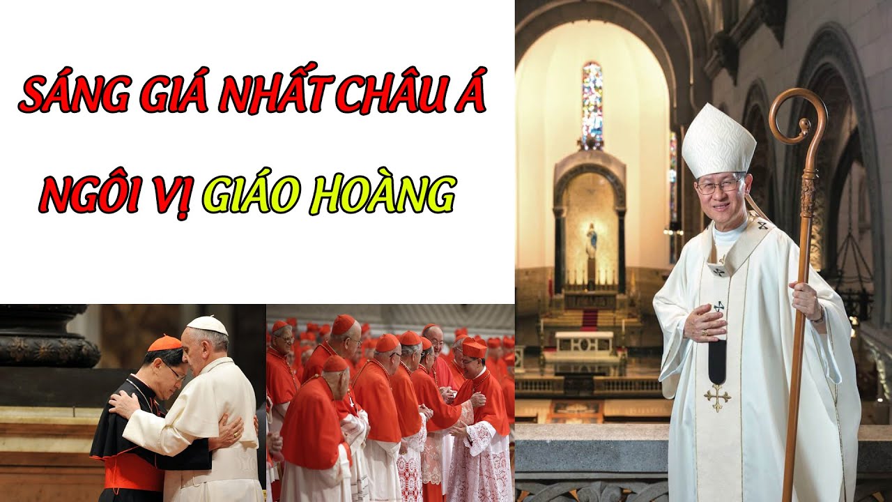 Hình Ảnh Hồng Y 
