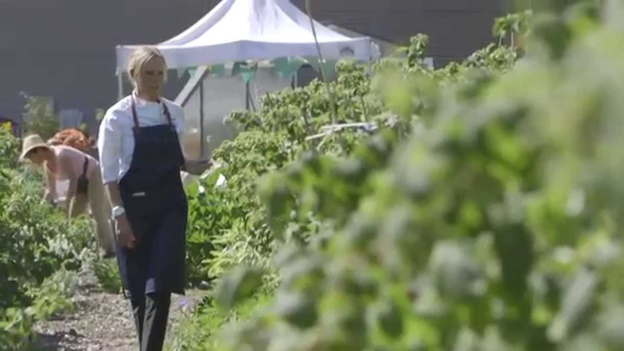 A Magical Day in Hastings Urban Farm with Hives for Humanity