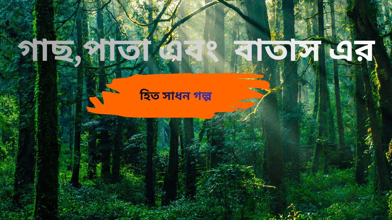 গাছ,পাতা এবং বাতাস এর গল্প। যা হৃদয় ছুঁয়ে যাই।