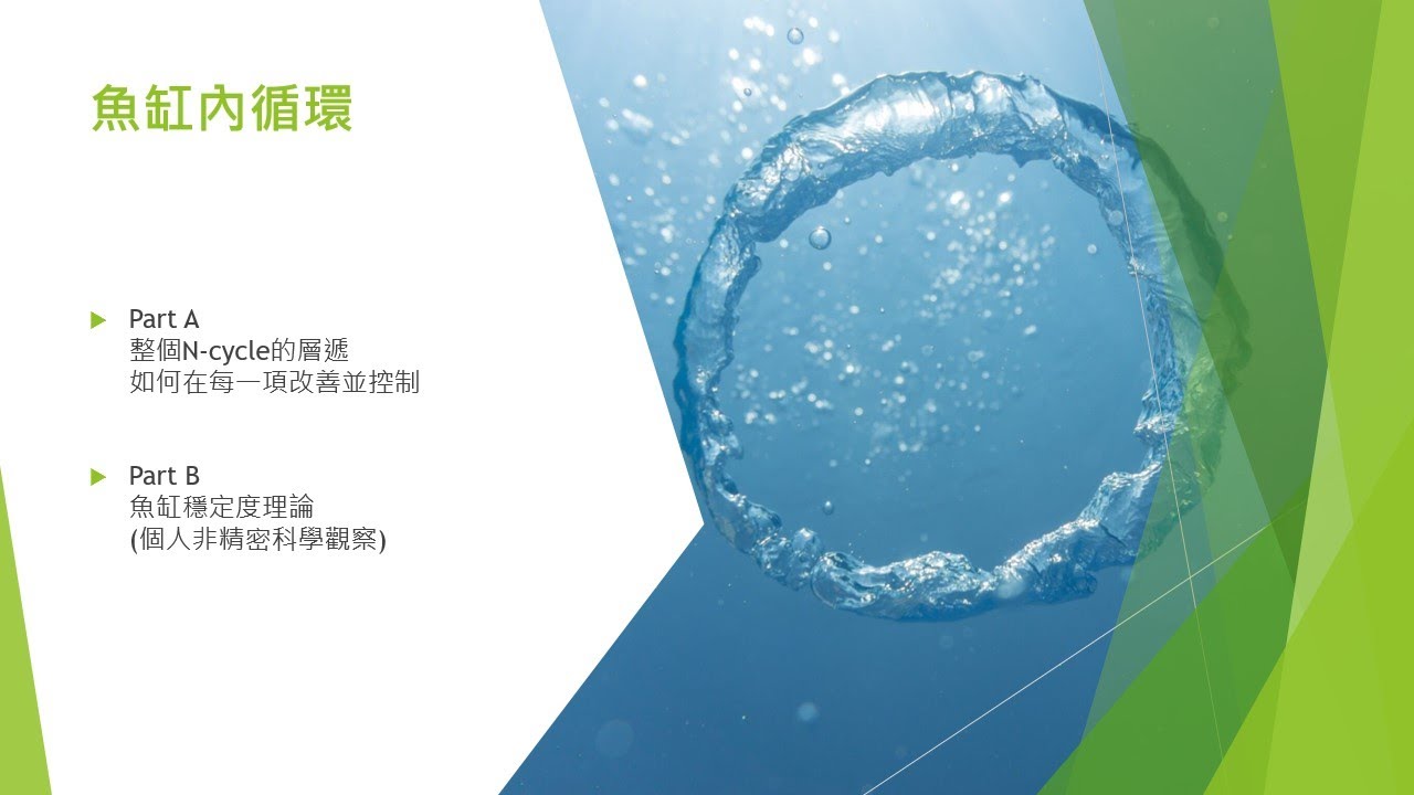 20220626 如何提升魚缸穩定度(五) : 處理污染源, NH3/4 和 NO2