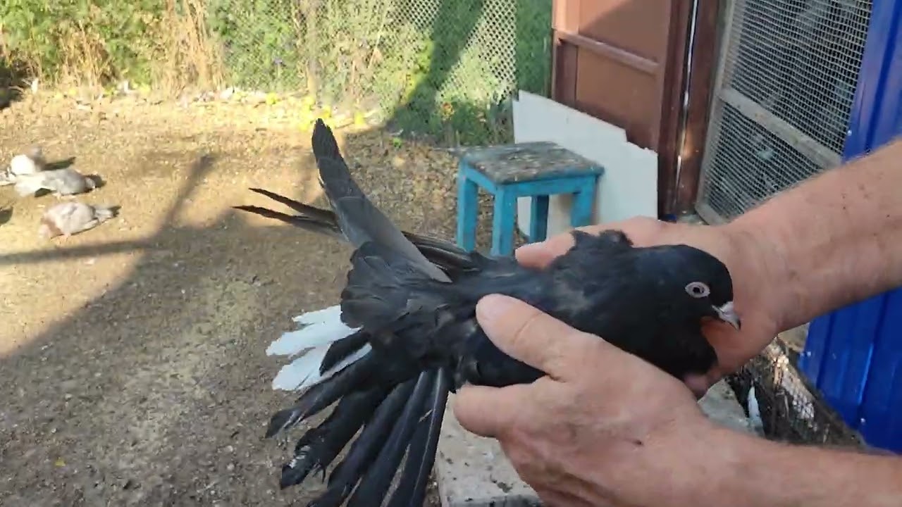 И снова переезд все поновому