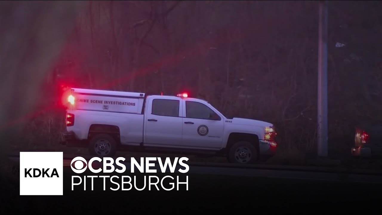 Pedestrian killed in hit-and-run vehicle crash