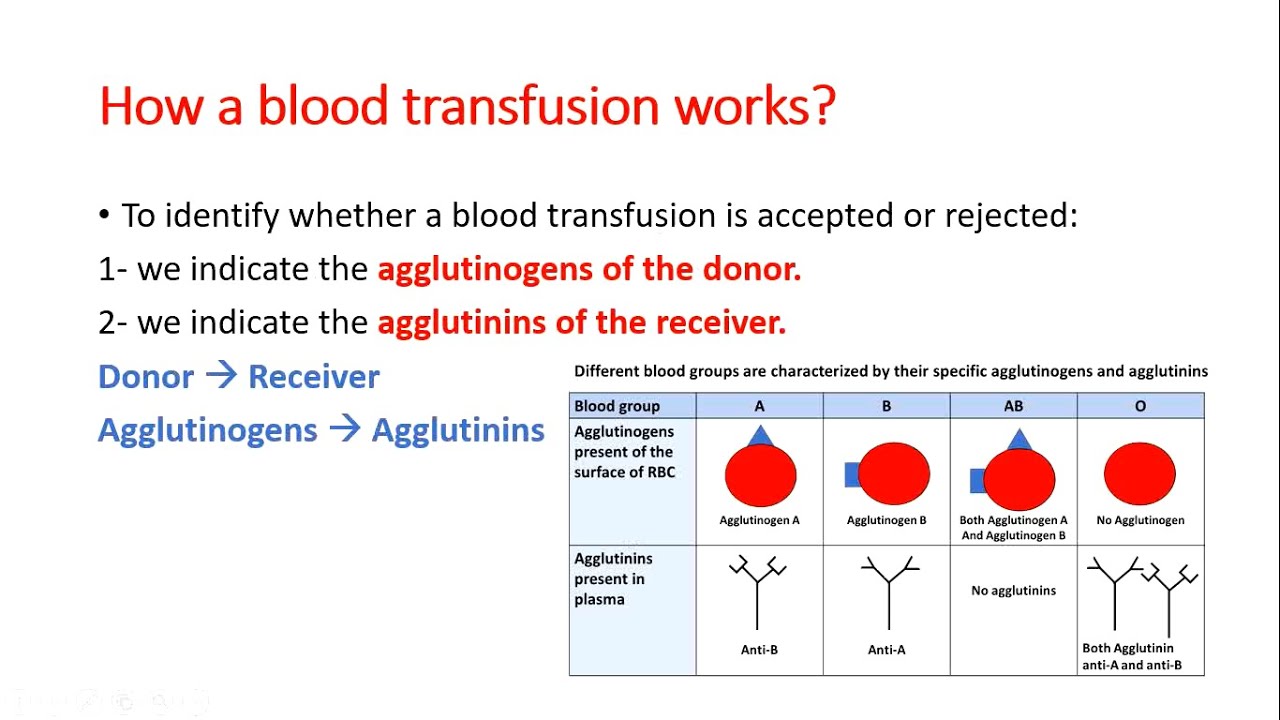 Biology grade 8: Specific immune response /blood groups/ blood transfusion/ teacher Ali Hankir
