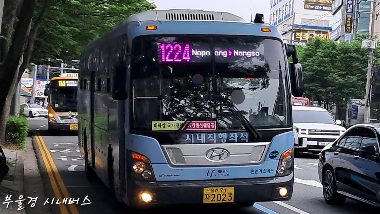 [울산 | 직행좌석 | 예비차]한성교통 1224번(구.1147번) [성남프라자 ~ 병영사거리]구간 주행영상
