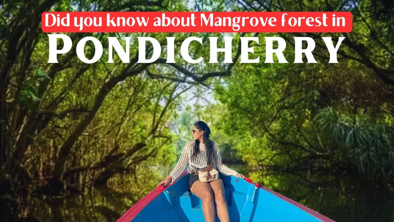 PONDICHERRY TOURIST PLACES | PONDICHERRY MANGROVE FOREST | EDEN BEACH | ART & CRAFT VILLAGE
