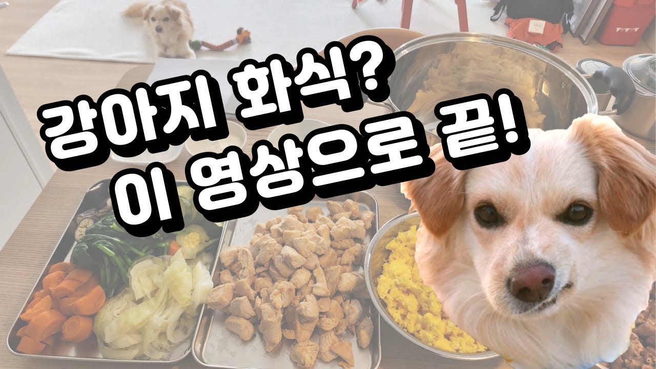 강아지 화식 만들기를 위한 4단계 : 4. 강아지 화식 만드는 과정 소개
