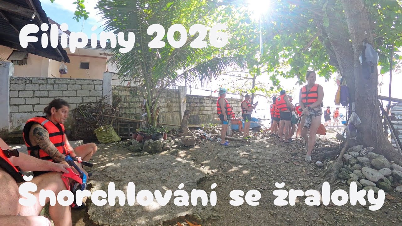 4K-Filipiny 2026-šnorchlování se žraloky Butandingy