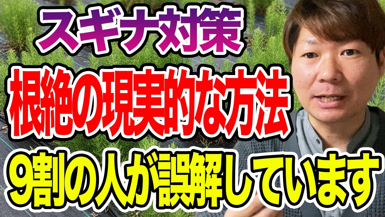 スギナはなぜ消えない？遮光・防草シートの効果と限界