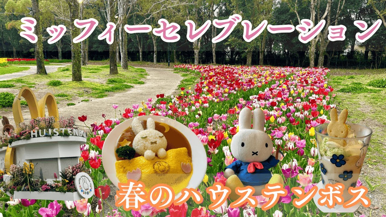 【ハウステンボス/春】花の街ミッフィーセレブレーション、可愛いづくし🎵アトラクション