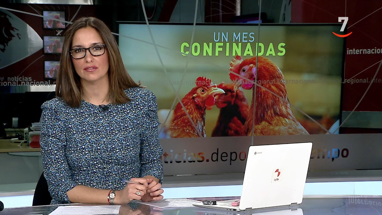 CyLTV Noticias 20:00 horas (08/12/2025)