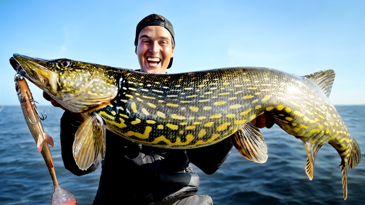 INSANE Fishing – Huge Pike SMASHES the Lure!