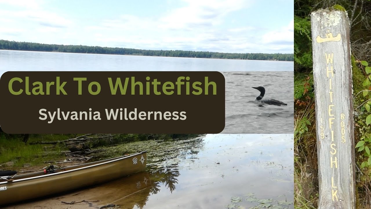 Clark to Whitefish: Sylvania Wilderness