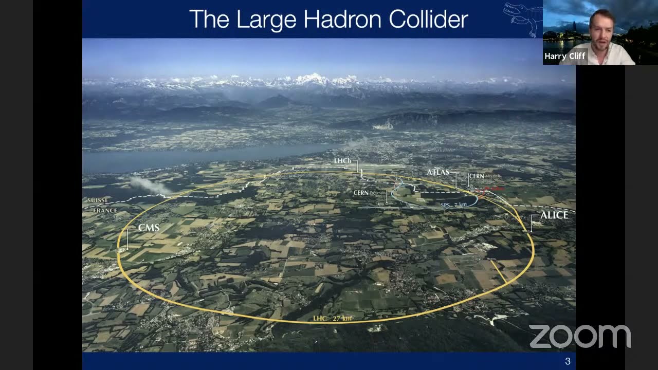 Rare beauty - are we seeing signs of new physics at the LHCb experiment?