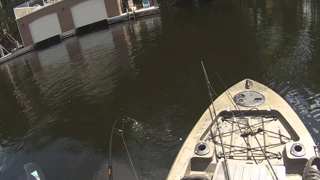 Baptiste Lake, Bancroft - Musky Madness - Active Angling