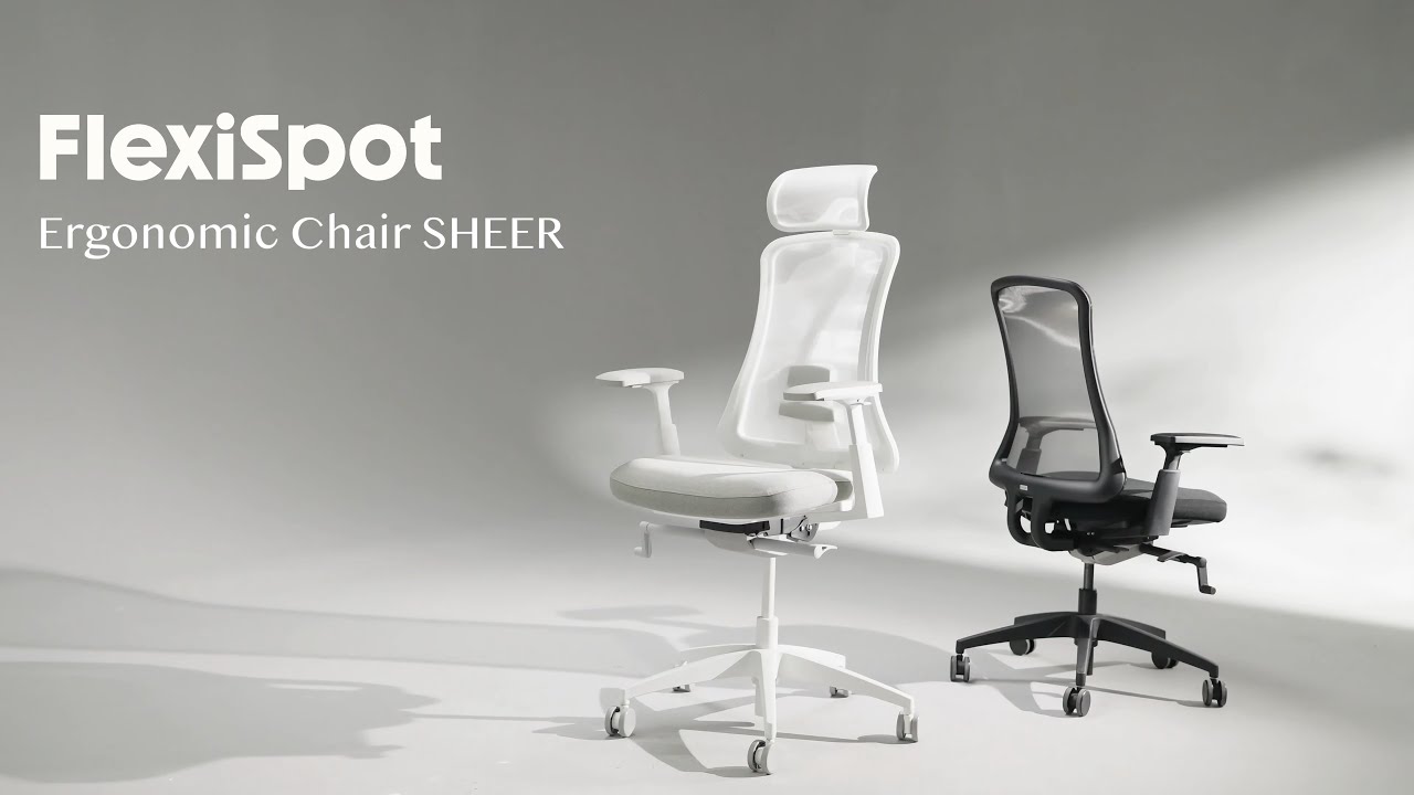 FlexiSpot | Ergonomic Chair with Aesthetics | Sheer