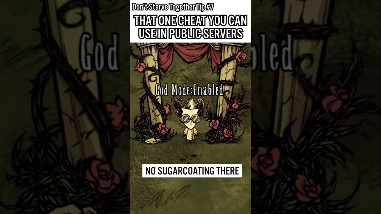 That One Cheat You Can Use in a Public Server