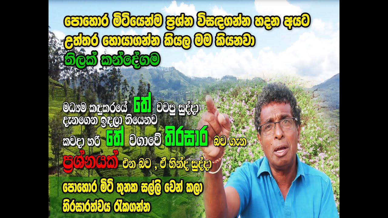 තේ වගාව රසායනික පොහොර නැතුව කරන්න පුලුවන් ද ? || Tea cultivation without chemical fertilizers