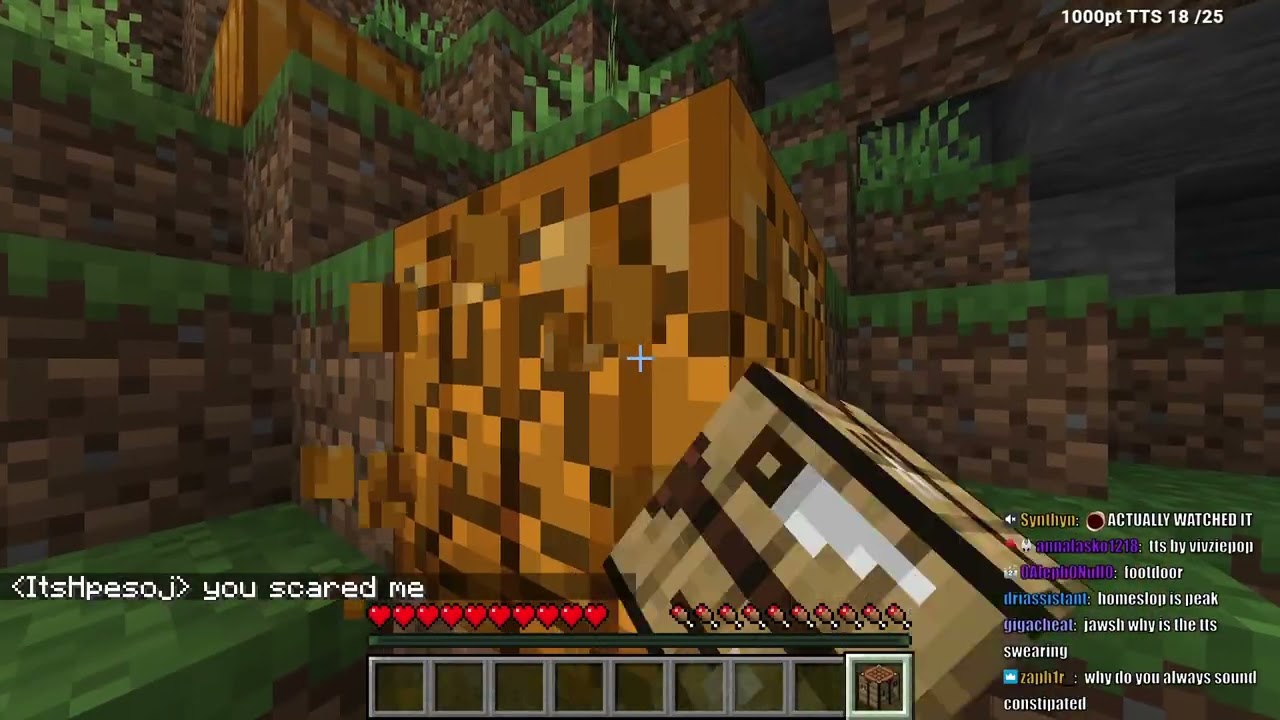 Chill Minecraft Stream TTS ENABLED [Jawsh Minecraft Vod]
