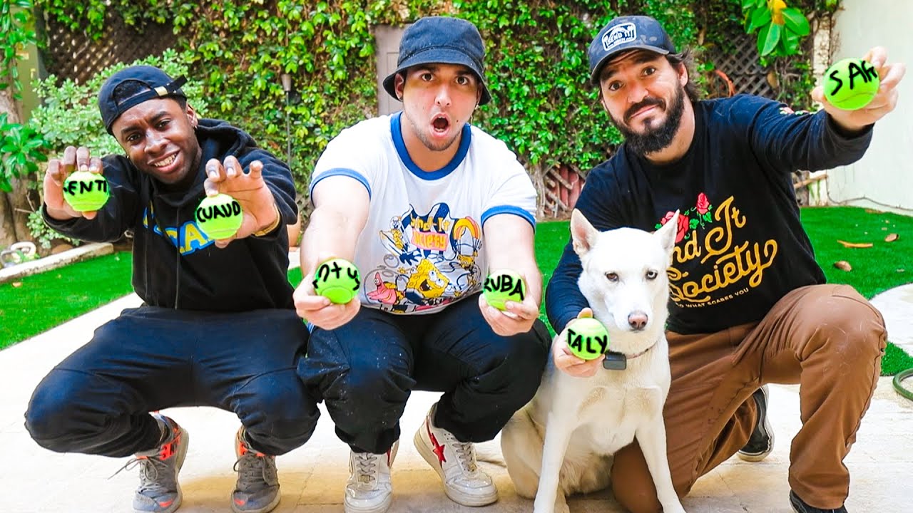 MY DOG DECIDES WHAT COUNTRY WE FLY TO! w/ Corey Scherer