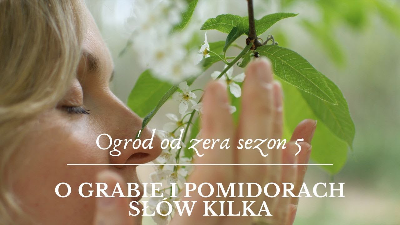 Nasz grab i dlaczego wolę kiełkować nasiona zamiast robić rozsady? [Ogr&oacute;d od zera s05]