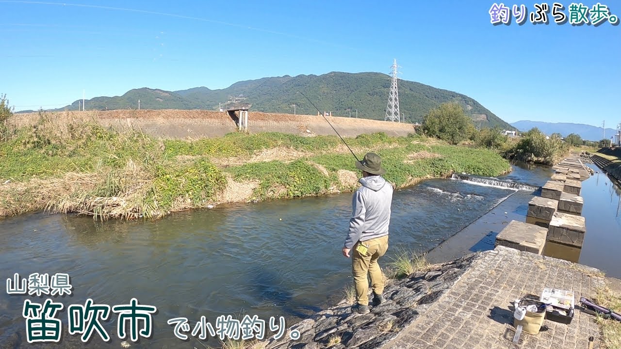 さすが山梨！過去最大のデカ〇〇〇3連発！ 山梨県  笛吹市 平等川で小物釣り。