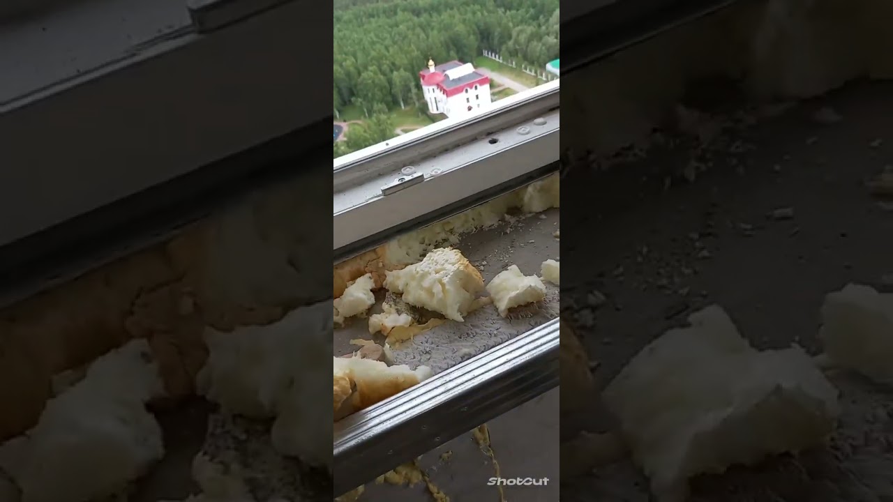 Оконный ПВХ профиль WHS от VEKA.