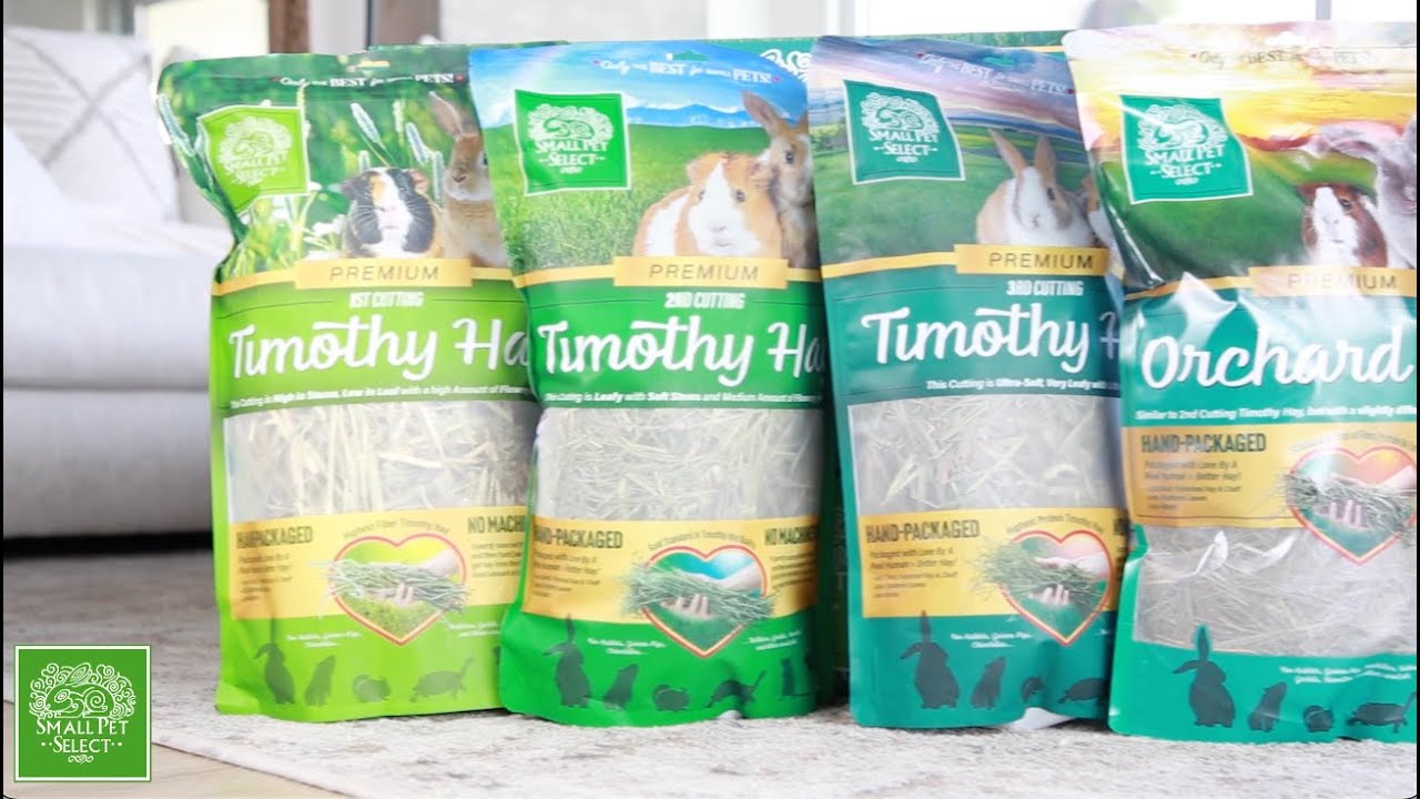 All About Small Pet Select Hay
