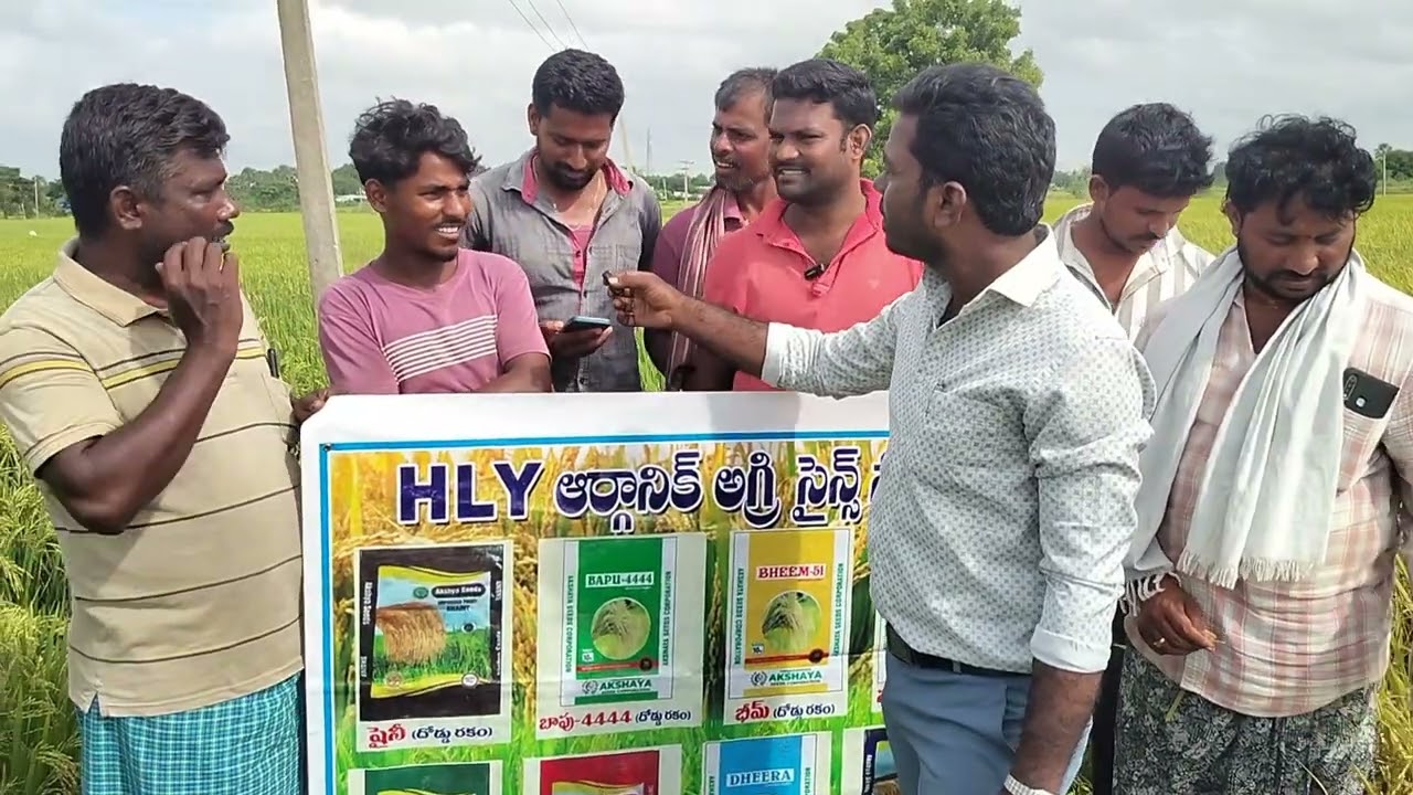 పొడి దుక్కిలోవెత్తి నా దిగుబడిలో రాజీలేని విధానం రైతుల స్పందన 