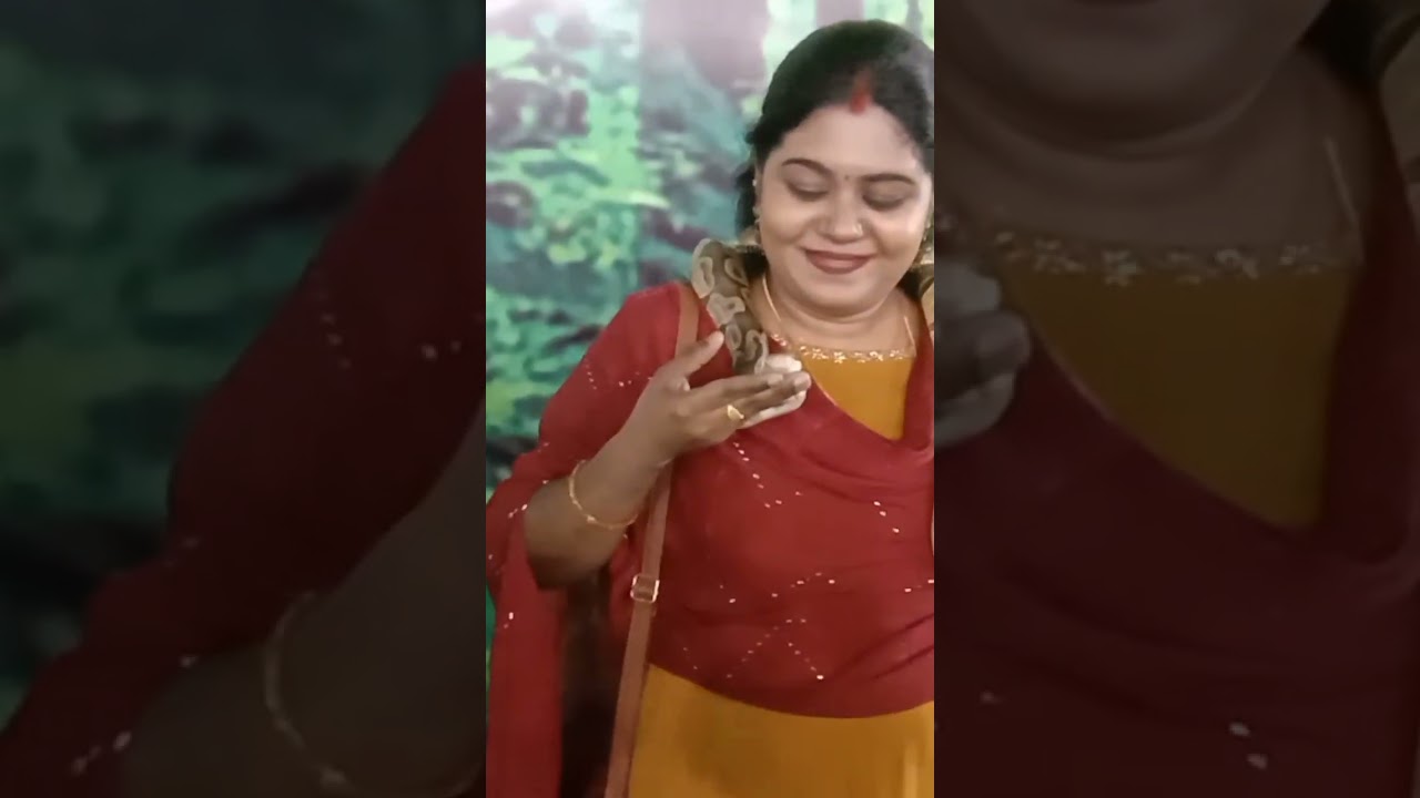 ഞങ്ങൾ ചാലിശ്ശേരി ദേശീയ സരസമേള കാണാൻ പോയപ്പോൾ കണ്ട കാഴ്ചകൾ 