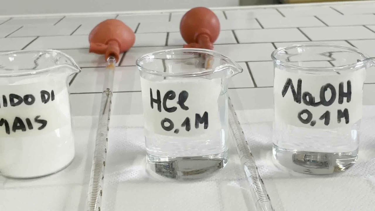 ‘‘Progetto della classe IV A dove gli studenti hanno prodotto la bio-plastica con amido di mais’’