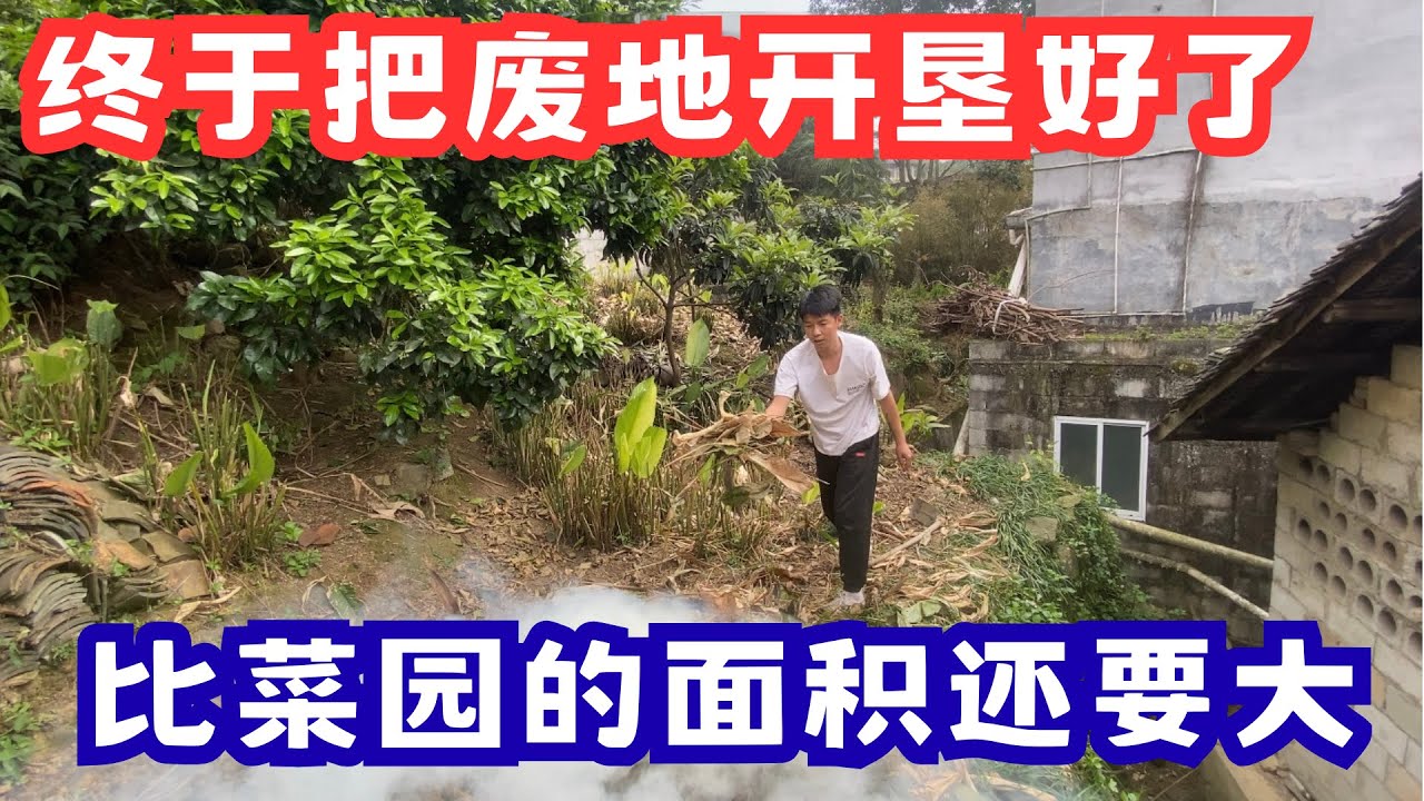 经过一早上的晾晒，之前砍掉的粽子叶终于可以焚烧了，边看着火堆边开垦荒地，很快就把荒地开垦完了，想不到比菜园的面积还要大，泥土也更肥沃！
