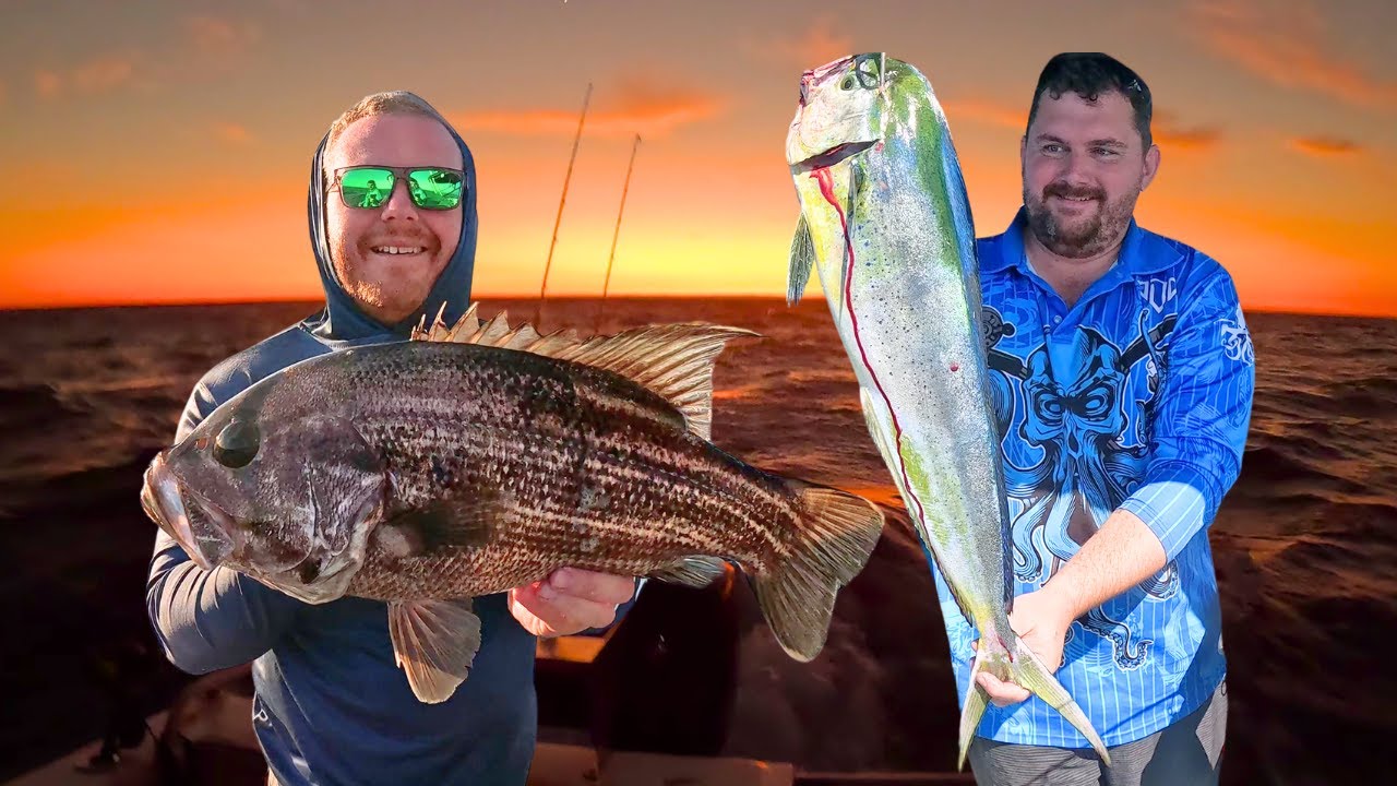 Demersal & FAD Fishing Off WA’s Metro Coast | Rare Species catch! #mahimahi