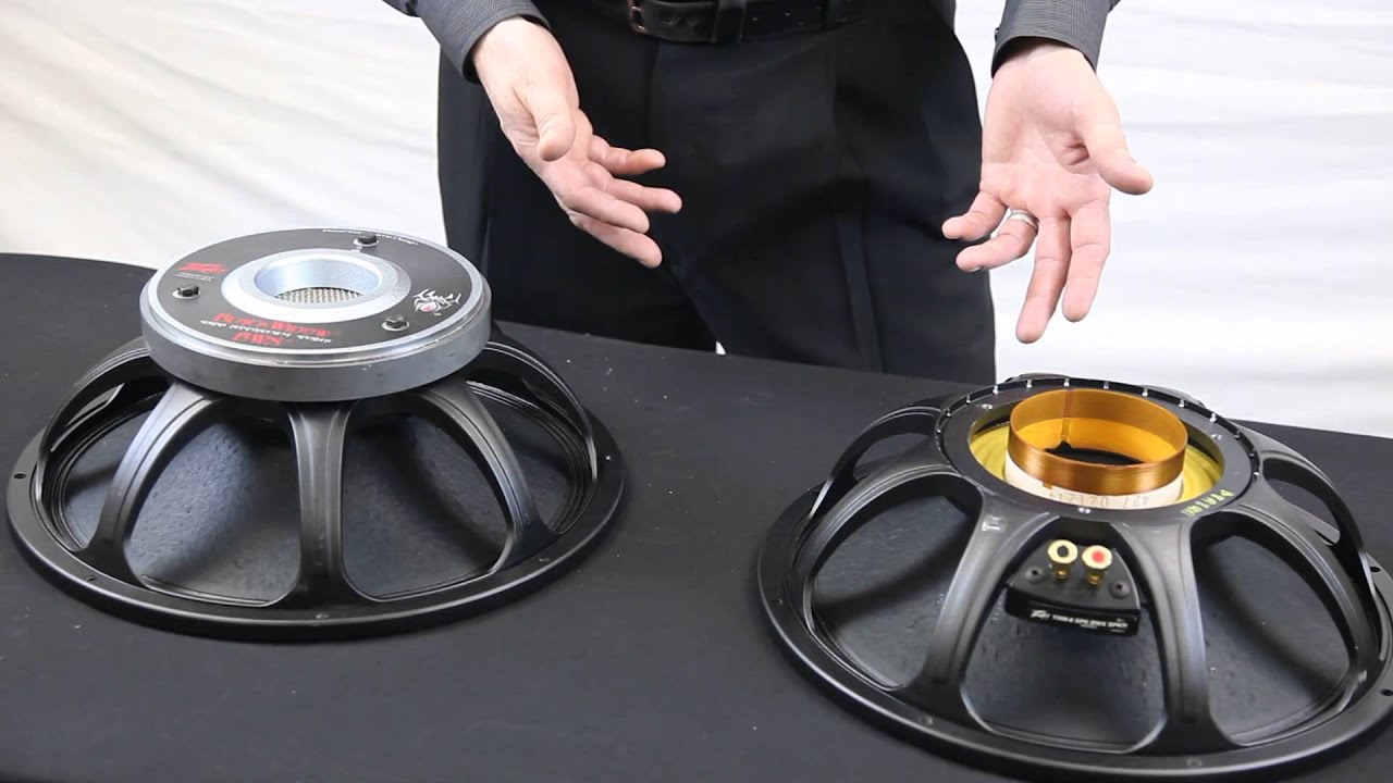 AudioSavings.com - Peavey Black Widow Subwoofer - Overview