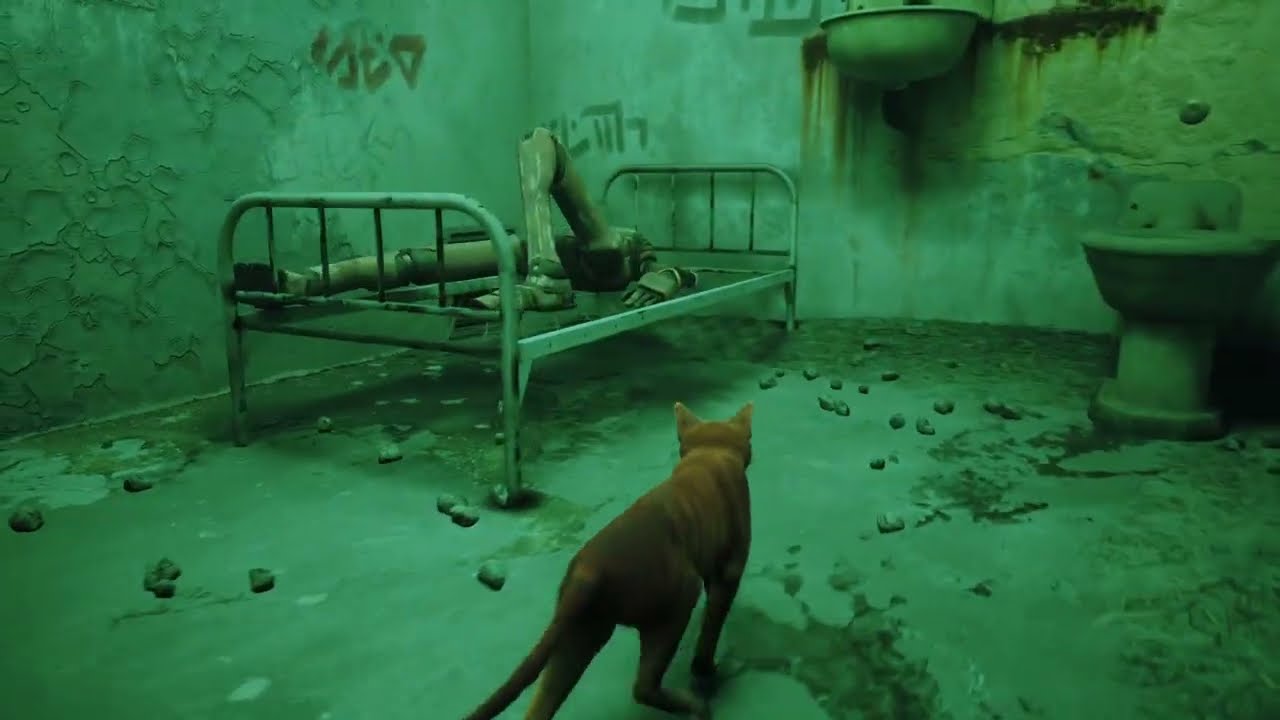 Stray Gameplay  (PS5)