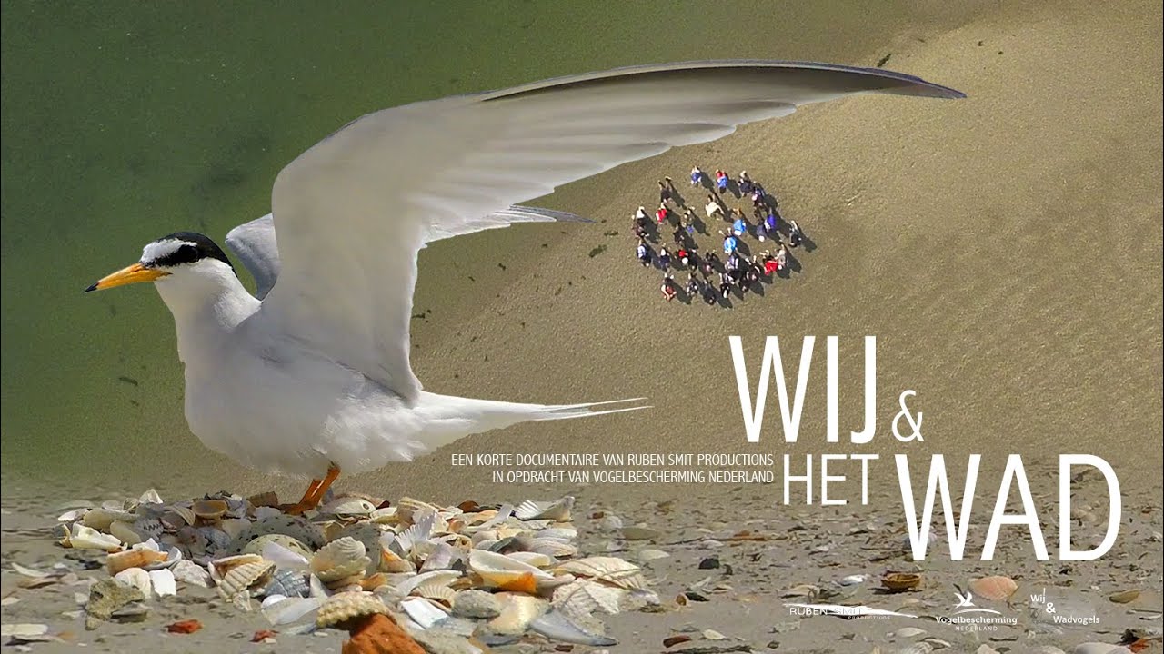 Wij & het Wad