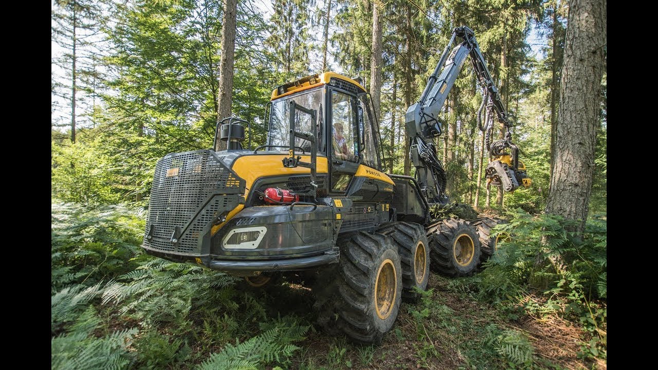PONSSE COBRA 2019 : ÉBRANCHAGE DE RÉSINEUX 🌲