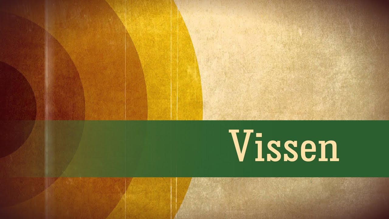 VISSEN Tarot Oktober 2024 - Nodig